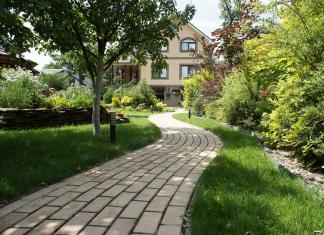 DIY garden paths: drawings and design options