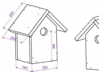 DIY kućica za ptice od drveta za čvorke i male korisne ptice